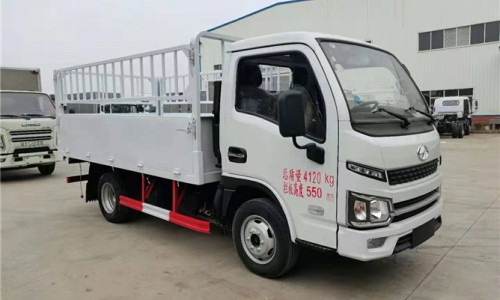 躍進(jìn)柴油氣瓶運輸車 